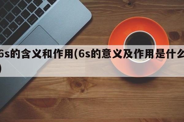 6s的含义和作用(6s的意义及作用是什么)